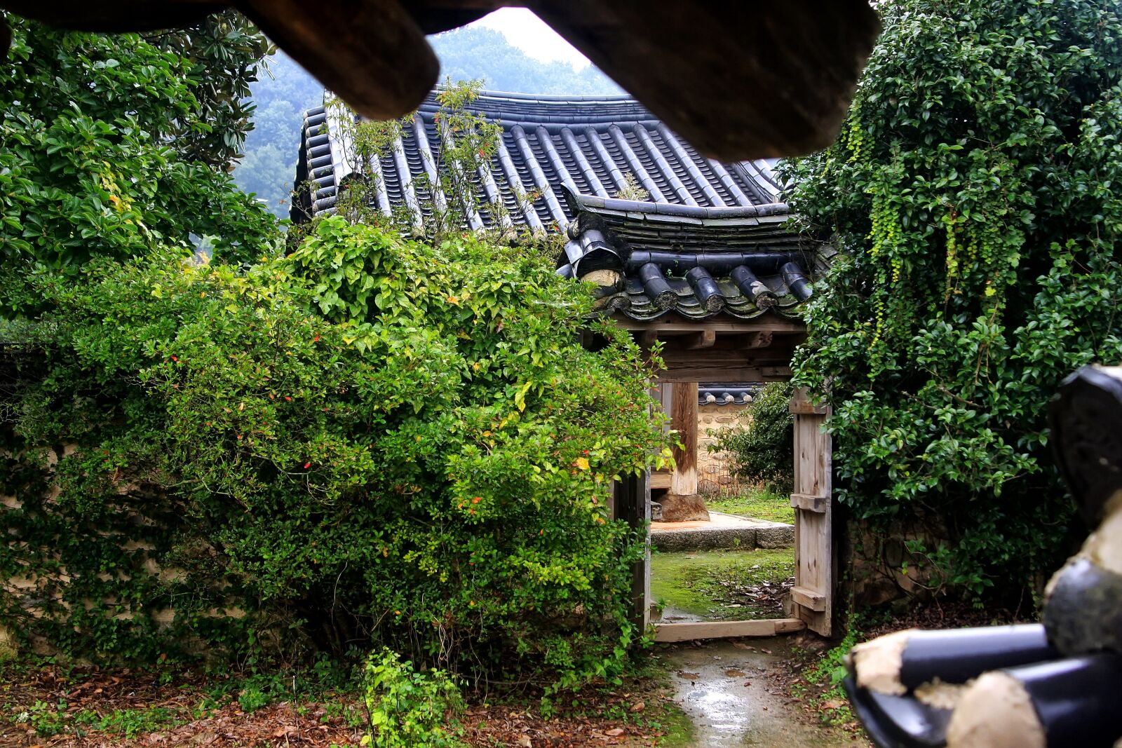 Canon EOS 40D sample photo. Hanok, moon, construction photography