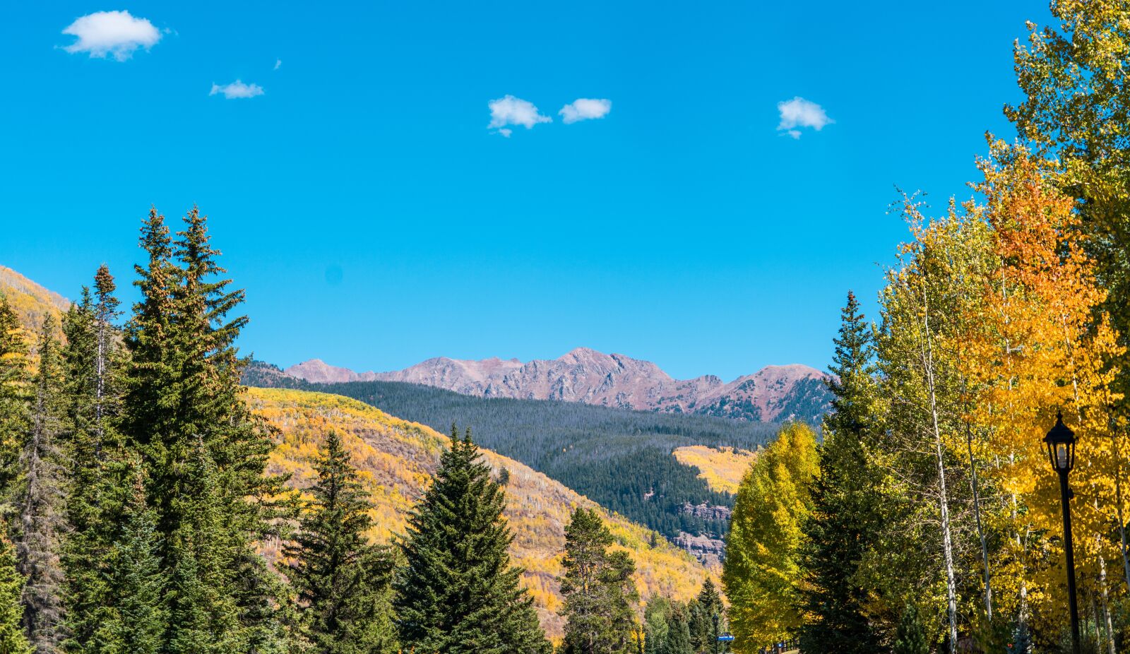 Sony a7R II + Sony FE 24-240mm F3.5-6.3 OSS sample photo. Vail, colorado, nature photography