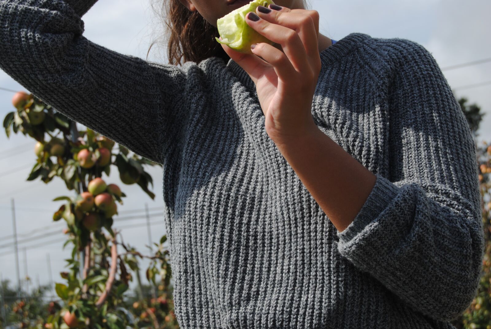 Nikon D3000 sample photo. Apple, apple, picking, apples photography