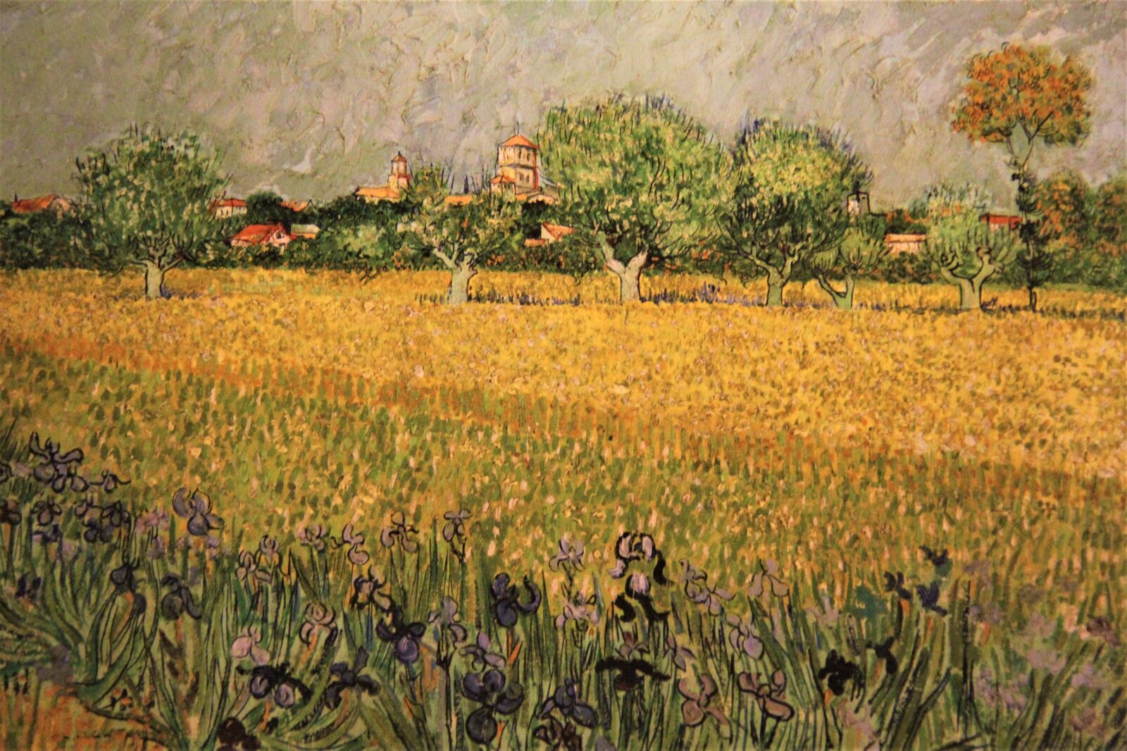 Canon EOS 550D (EOS Rebel T2i / EOS Kiss X4) sample photo. Art, impressionism, painting photography