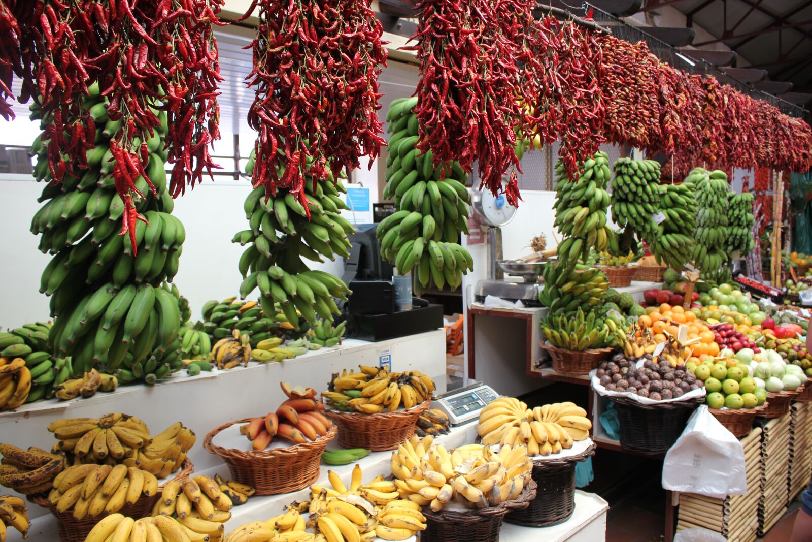 Canon EOS 550D (EOS Rebel T2i / EOS Kiss X4) sample photo. Market day, vegetables, madeira photography