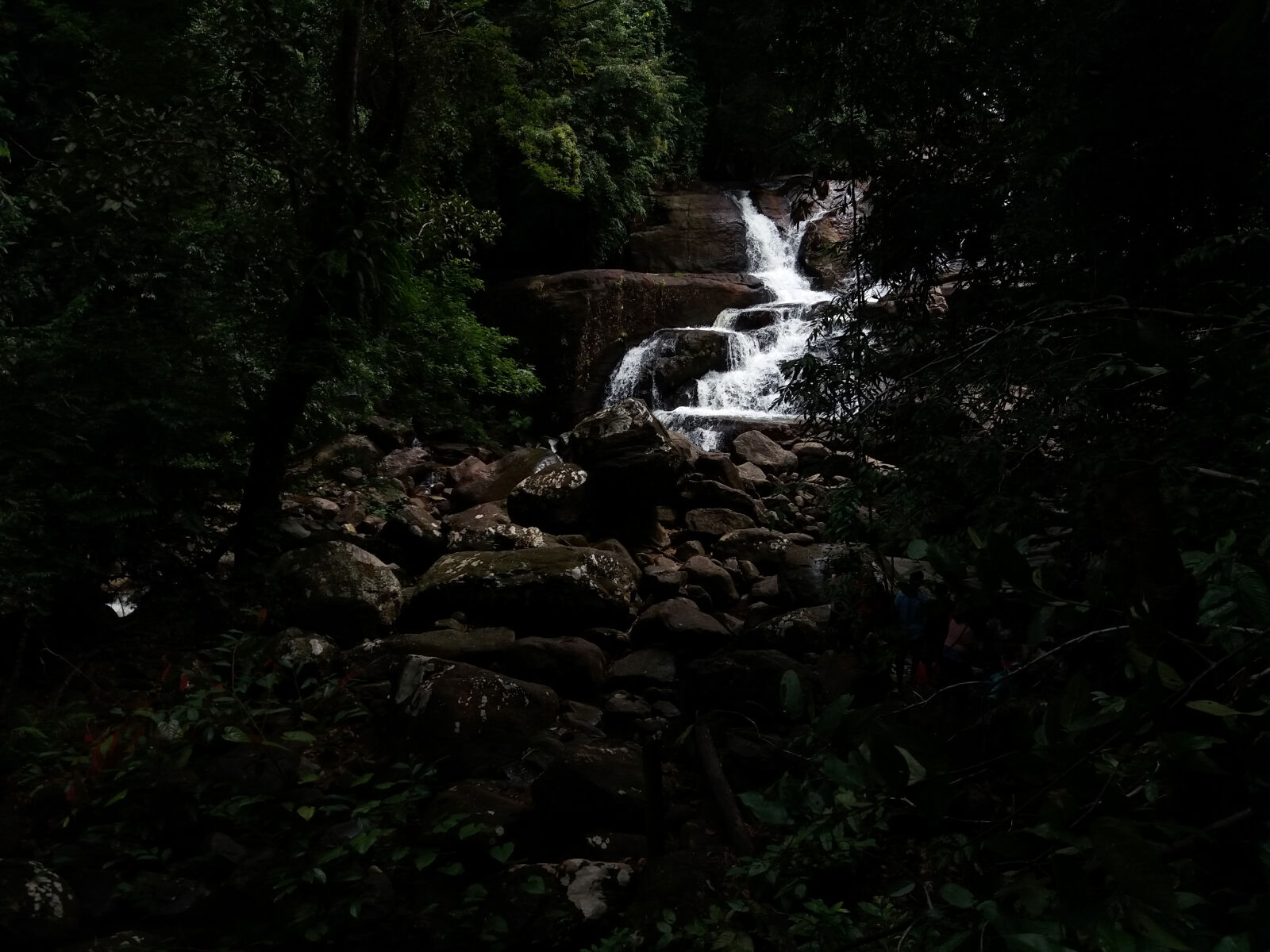 Samsung Galaxy J5(2016) sample photo. Beautiful, dark, flow, forest photography