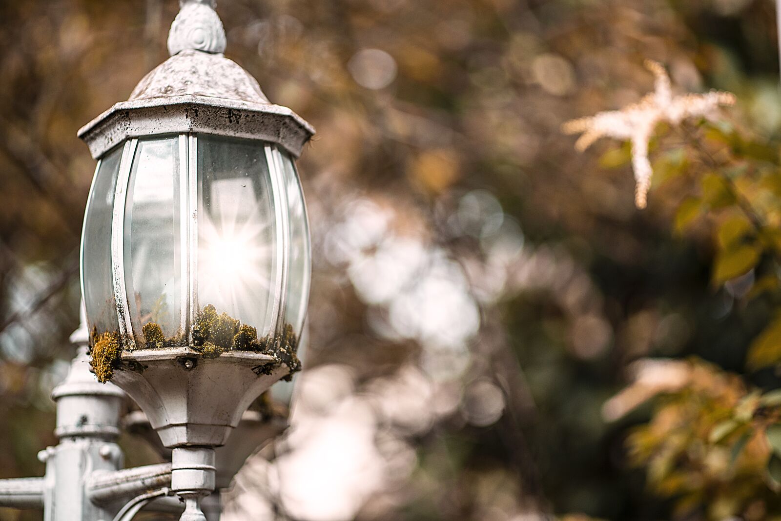 Nikon D600 sample photo. Old lamp, vintage, lamp photography