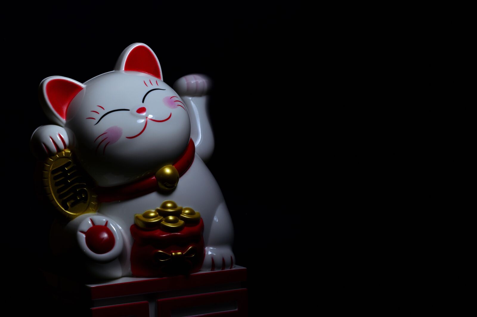 Nikon D3200 sample photo. Good luck, lucky, fortune photography