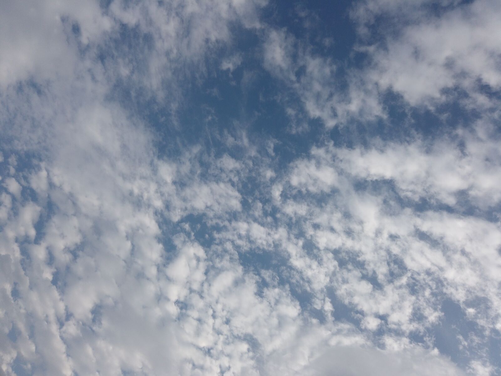 DJI Osmo Pocket sample photo. Sky, blue, clouds photography
