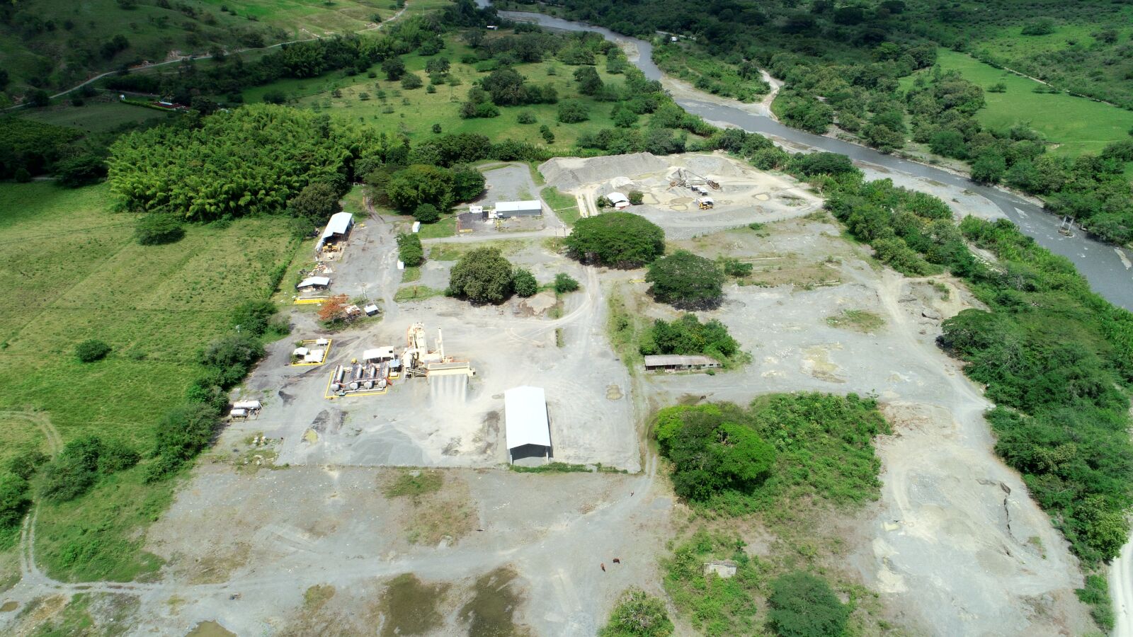 DJI FC6310 sample photo. Plant pisa, on the photography