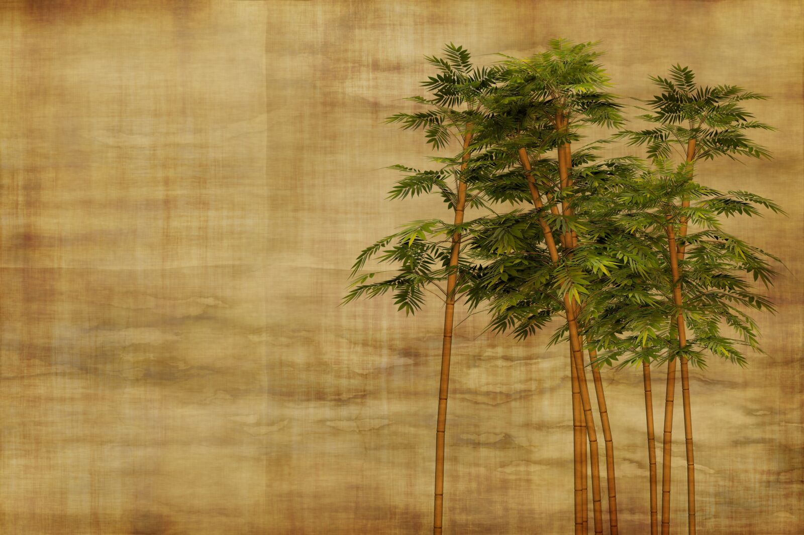 Nikon D3S sample photo. Bamboo, stationery, wallpaper photography