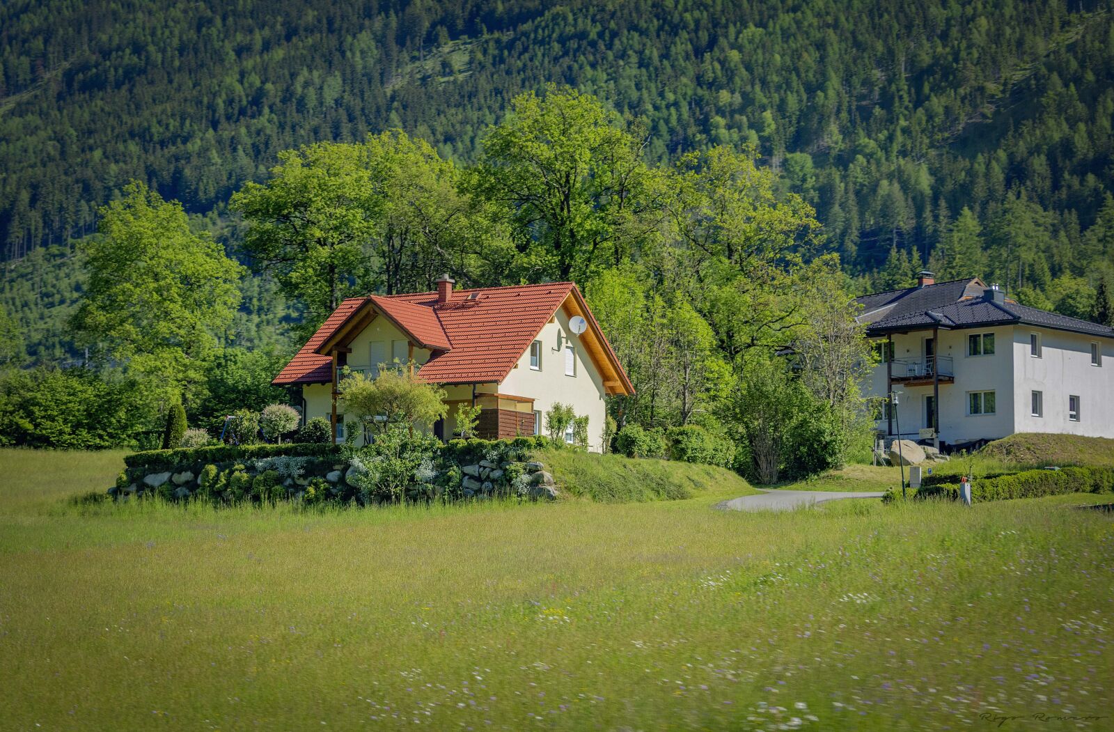 Nikon D810 sample photo. Austria, fields, trees photography