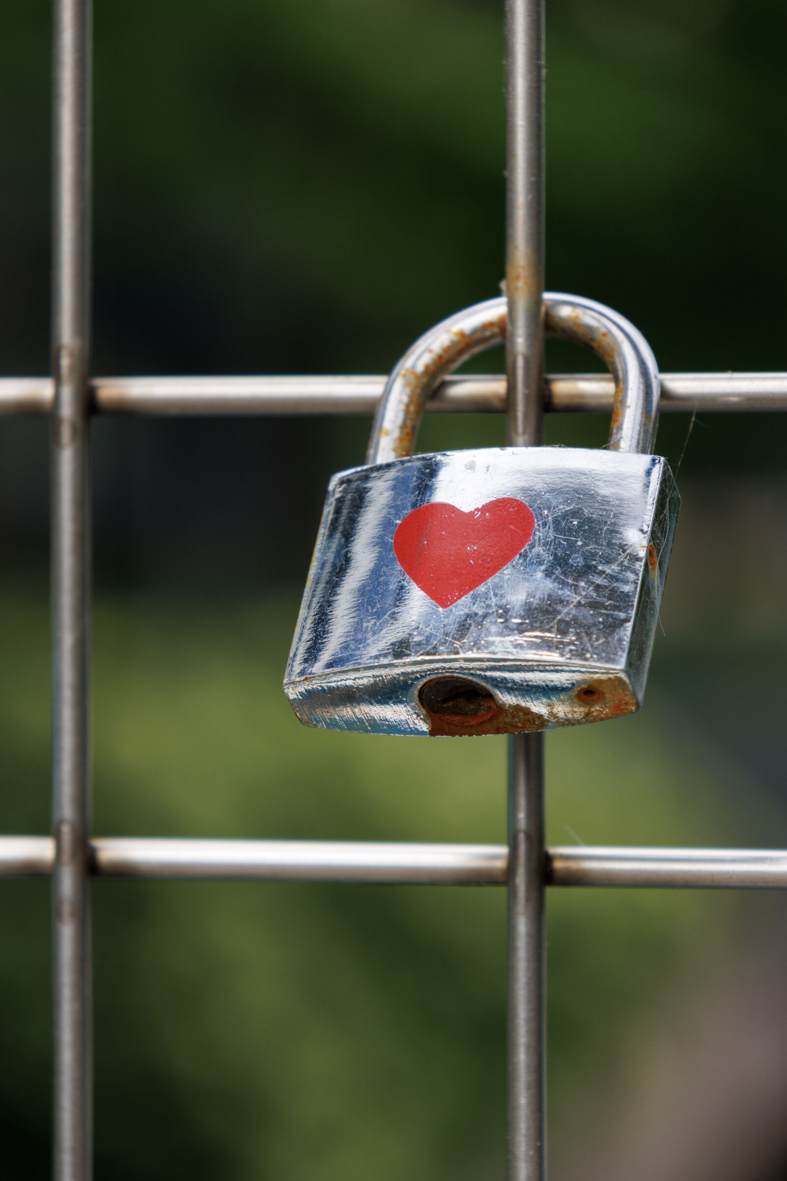 Canon EOS R7 + Canon RF-S 18-150mm F3.5-6.3 IS STM sample photo. The padlock of love photography