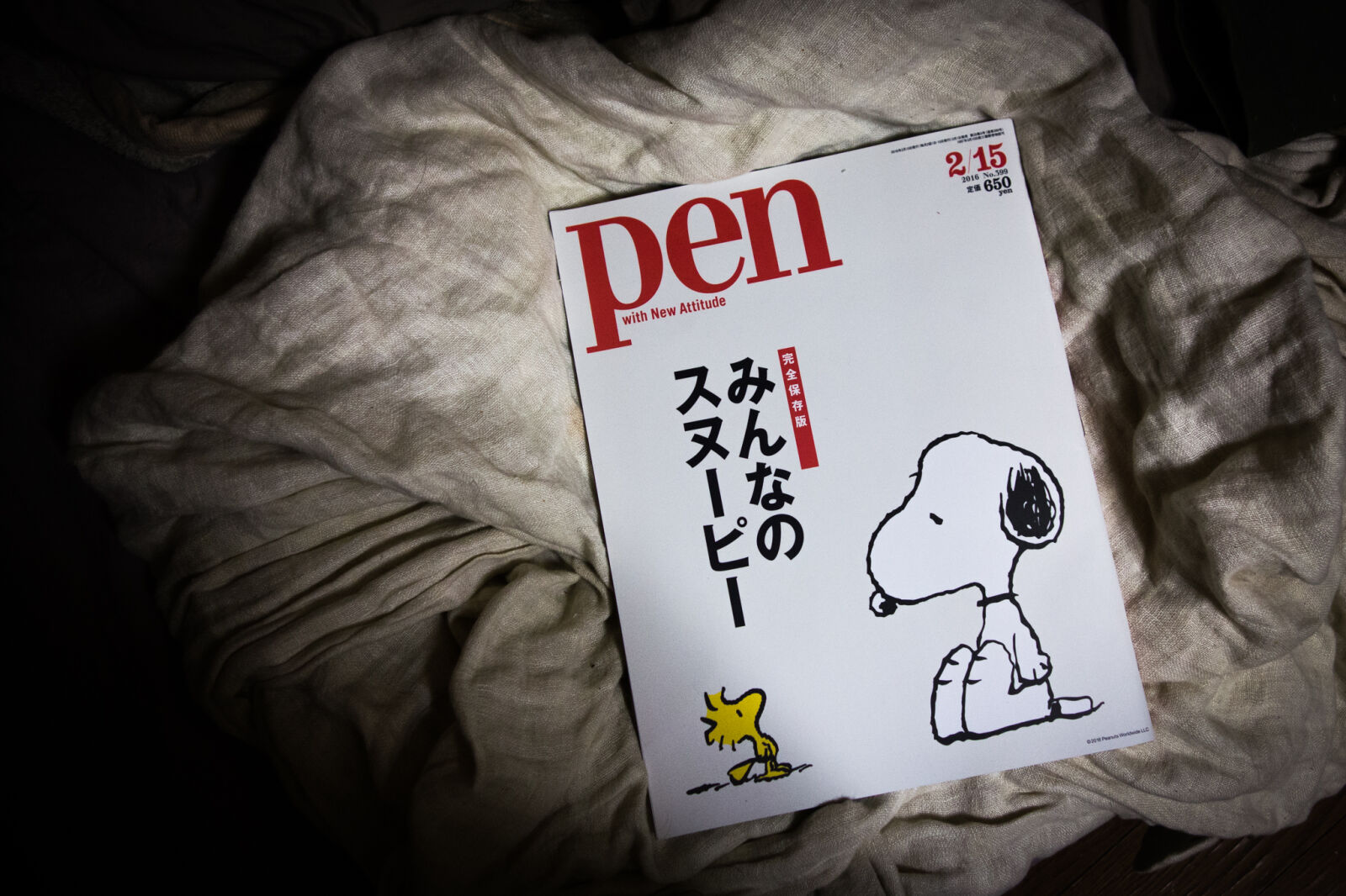 Sony Cyber-shot DSC-RX100 sample photo. Japanese, magazine photography