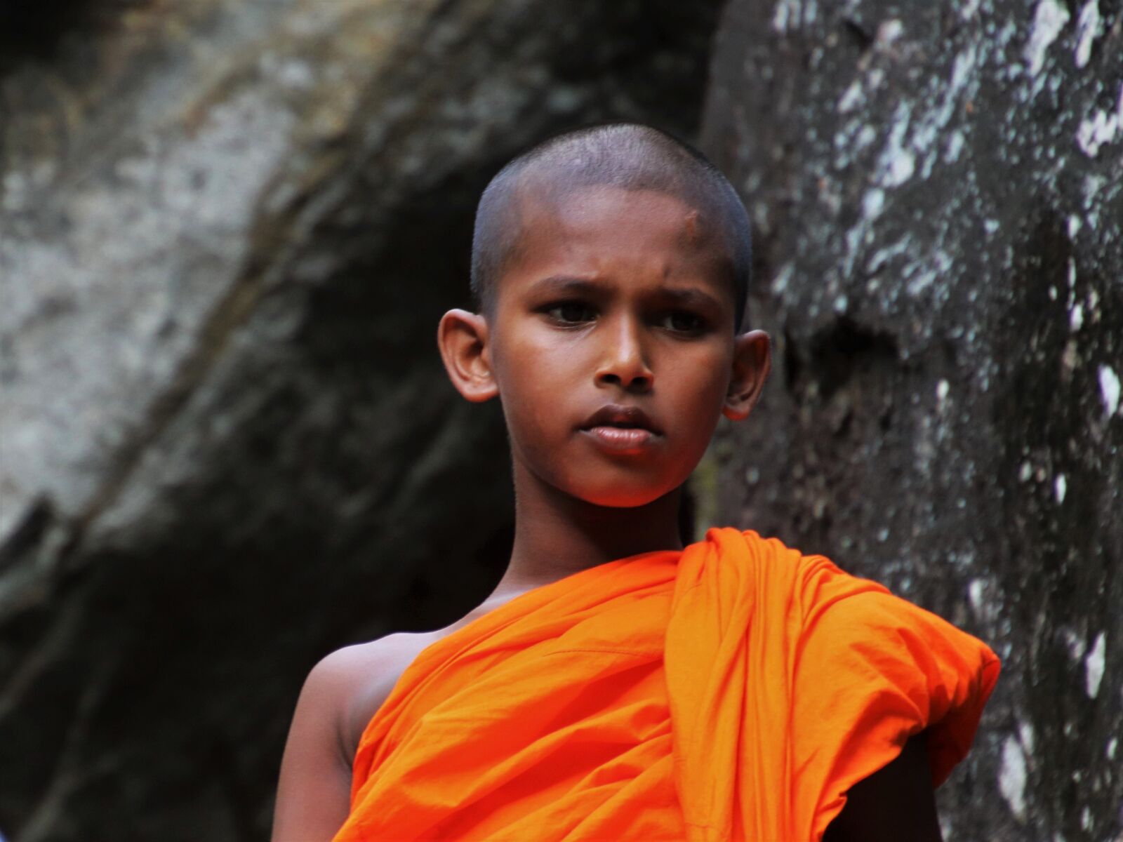 Canon EOS 80D sample photo. One, monk, portrait photography