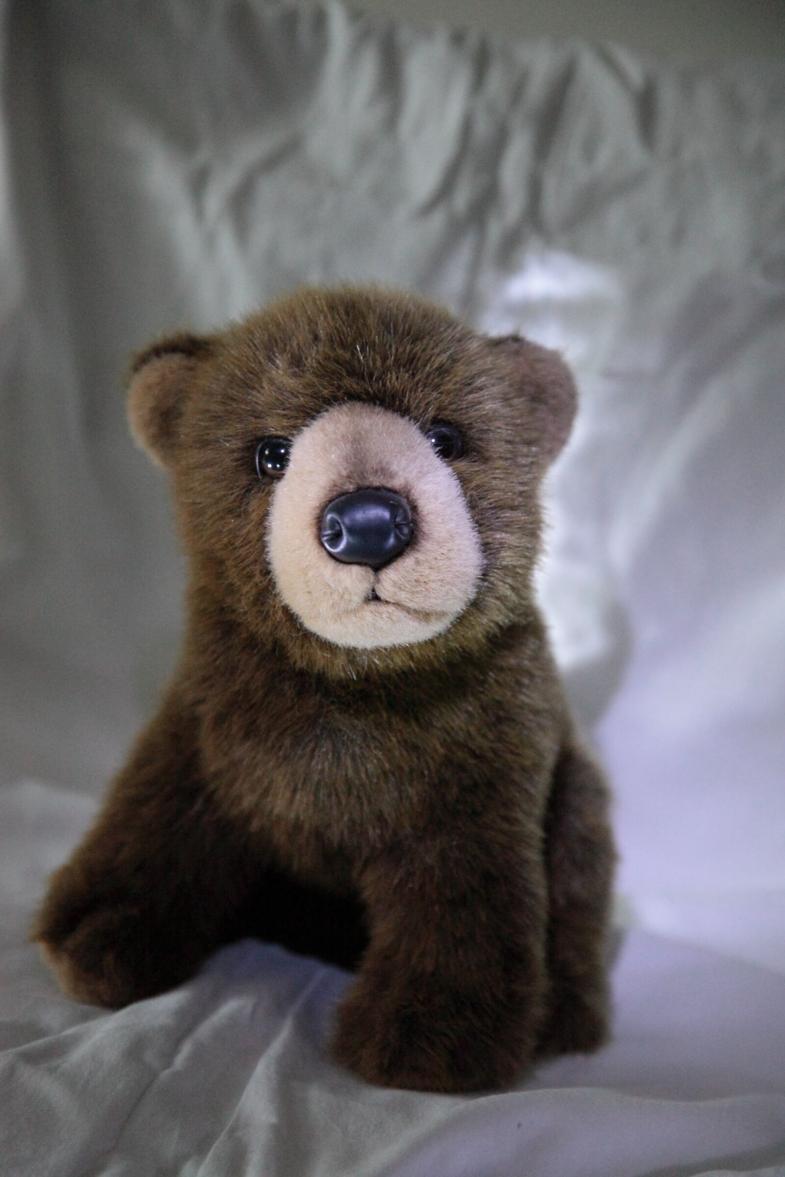 Canon EOS 5D Mark II sample photo. Stuffed animal, toy bear photography