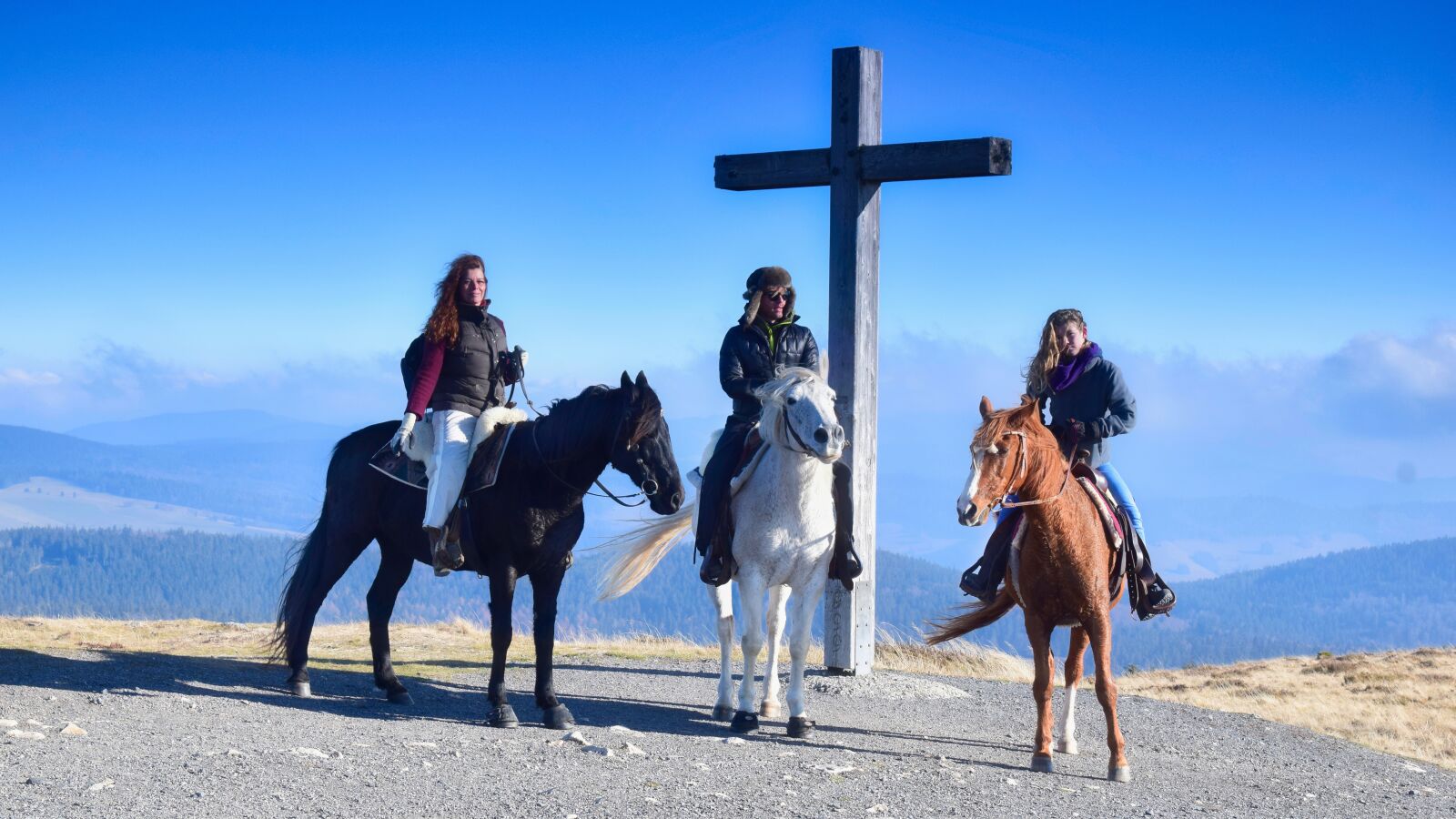 Nikon D5300 sample photo. Reiter, horses, animals photography