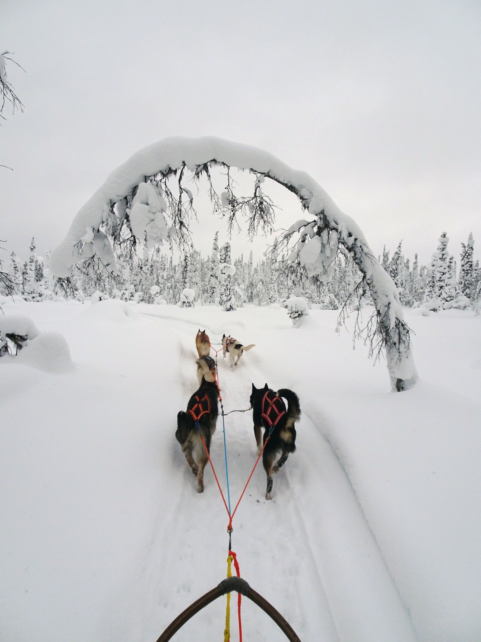 Sony DSC-HX90 sample photo. Finland, winter, wintry photography