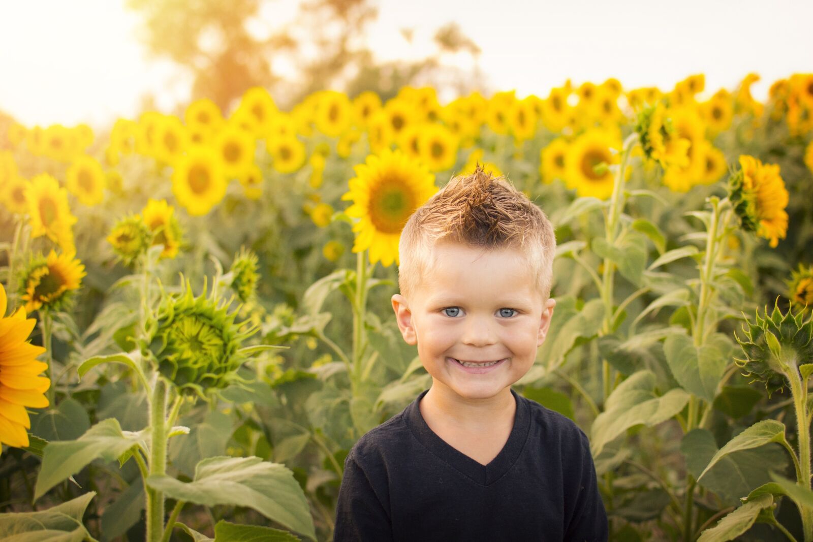 Nikon D3100 sample photo. Child, sun, sunflowers photography