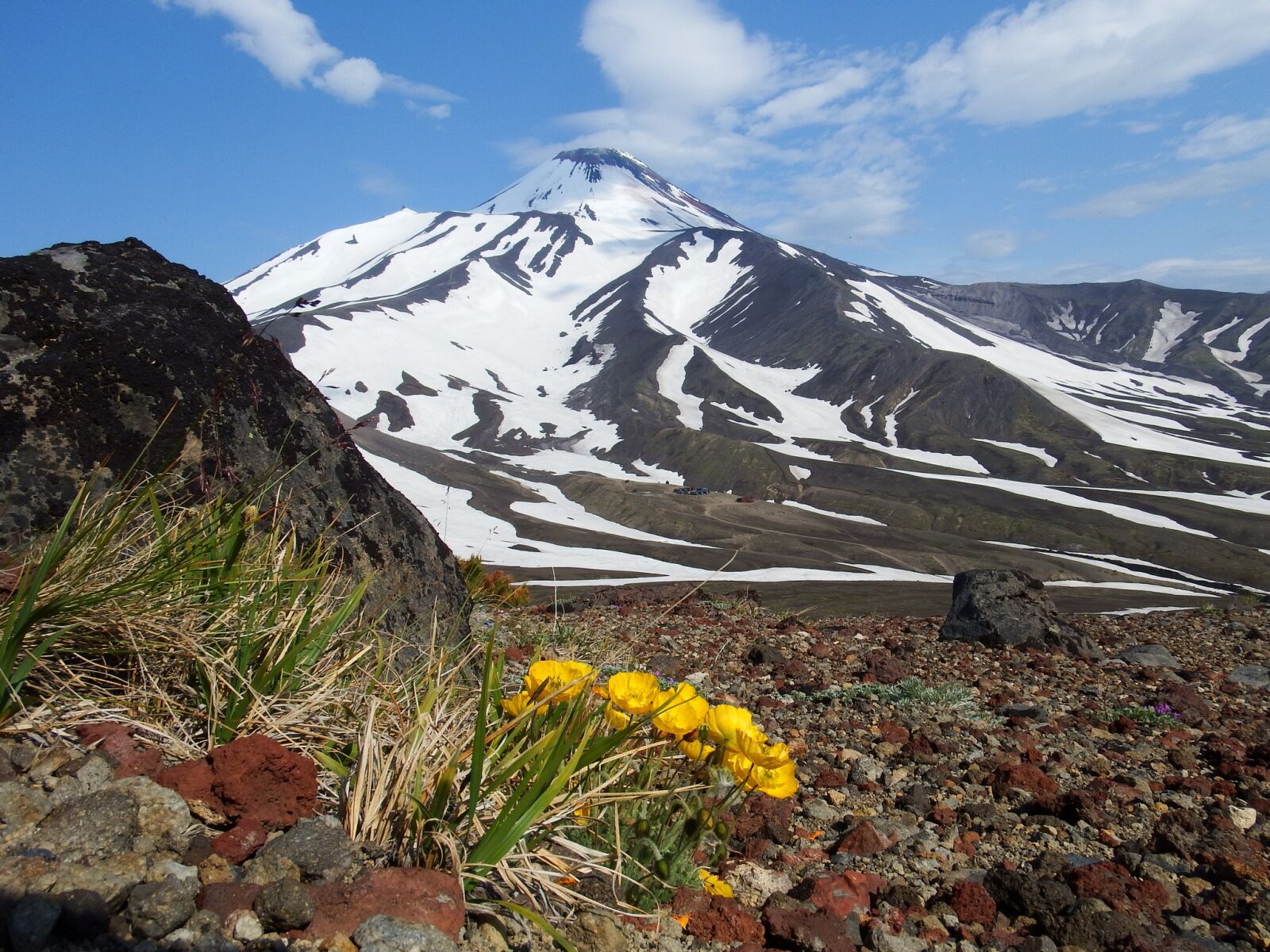 Fujifilm FinePix S1 sample photo. Volcano, the foot, flowers photography