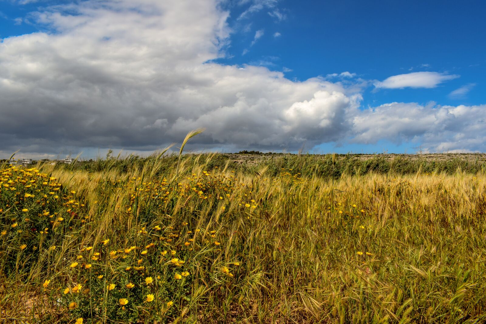 Nikon D3300 sample photo. Field, meadow, sky photography