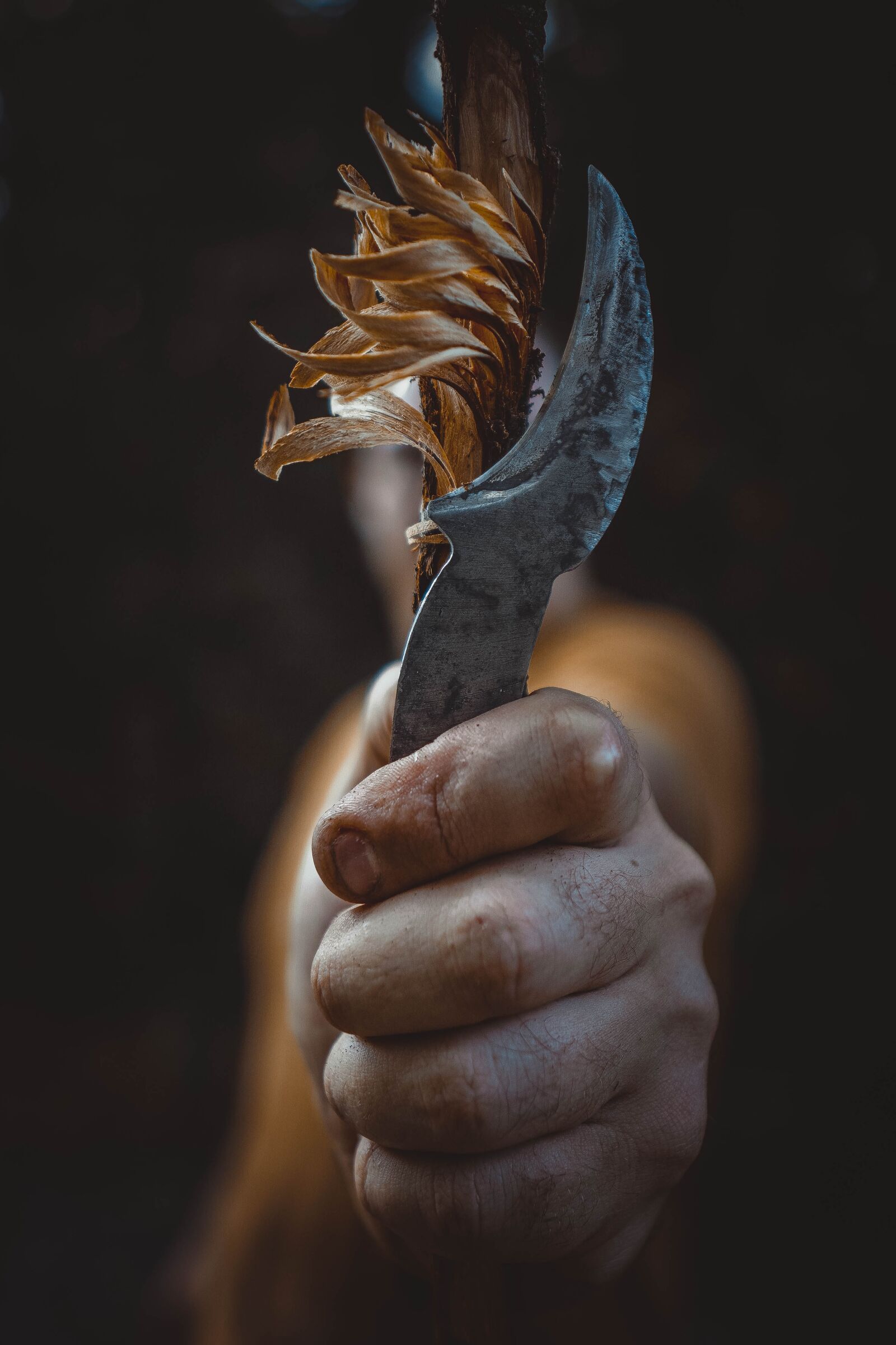Sony a6400 sample photo. Knife, nature, green photography