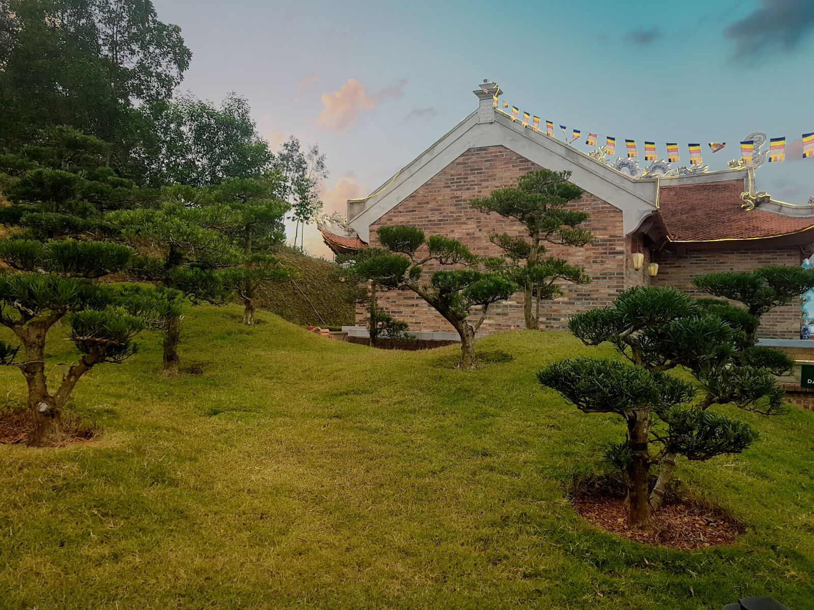 Samsung SM-G955F sample photo. Pagoda, cedrus tree, bonsai photography
