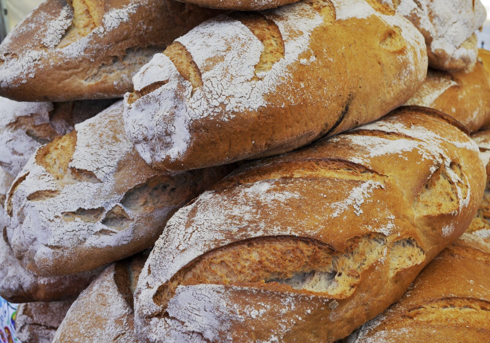 Nikon D5000 sample photo. Bakery, loaf, eating photography