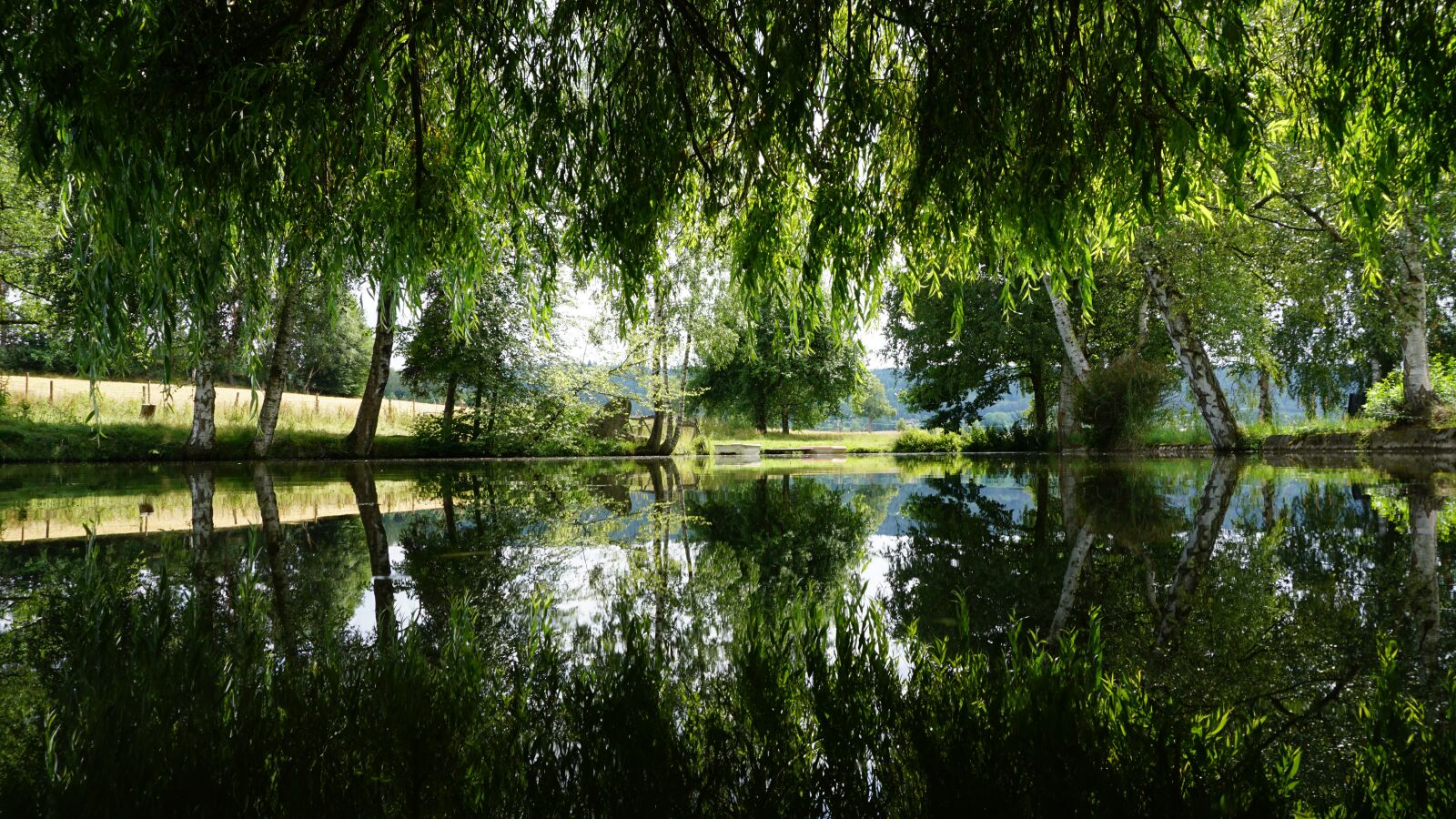 Sony E 16-50mm F3.5-5.6 PZ OSS sample photo. Pond, water reflection, pasture photography