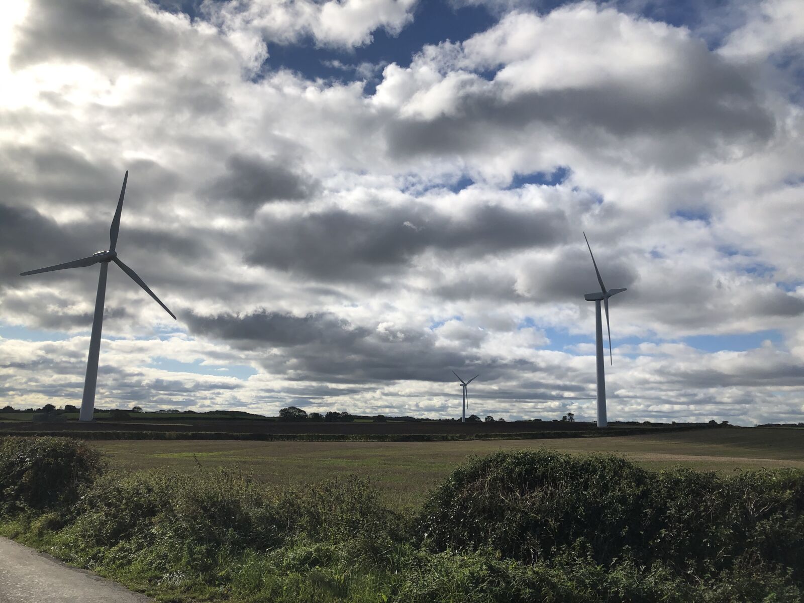 Apple iPhone 8 + iPhone 8 back camera 3.99mm f/1.8 sample photo. Environment, wind turbines, energy photography