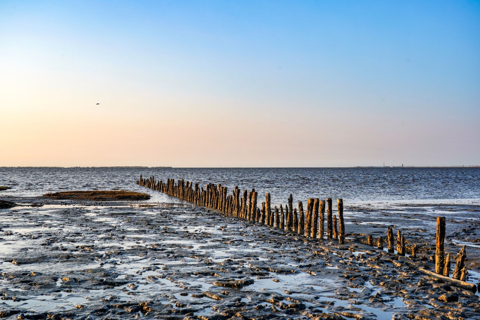 Sony FE 24-105mm F4 G OSS sample photo. Watts, wadden sea, sandbar photography