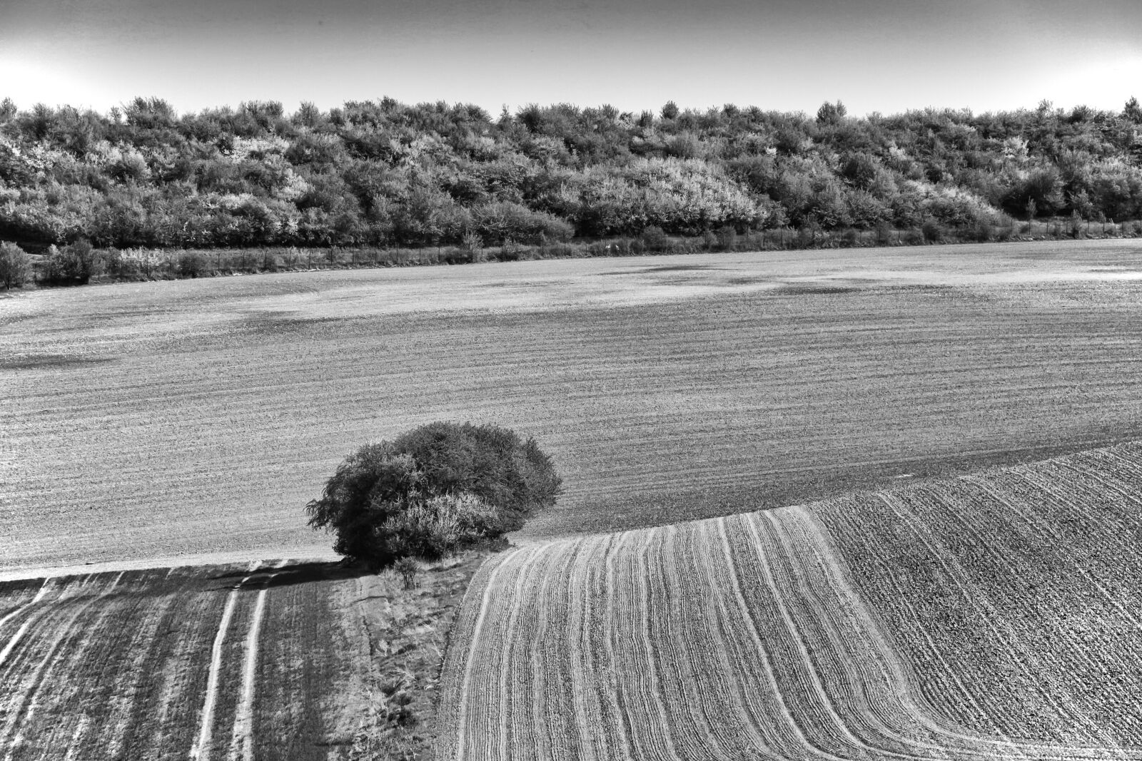 Canon EOS 700D (EOS Rebel T5i / EOS Kiss X7i) sample photo. Landscape, nature, black and photography