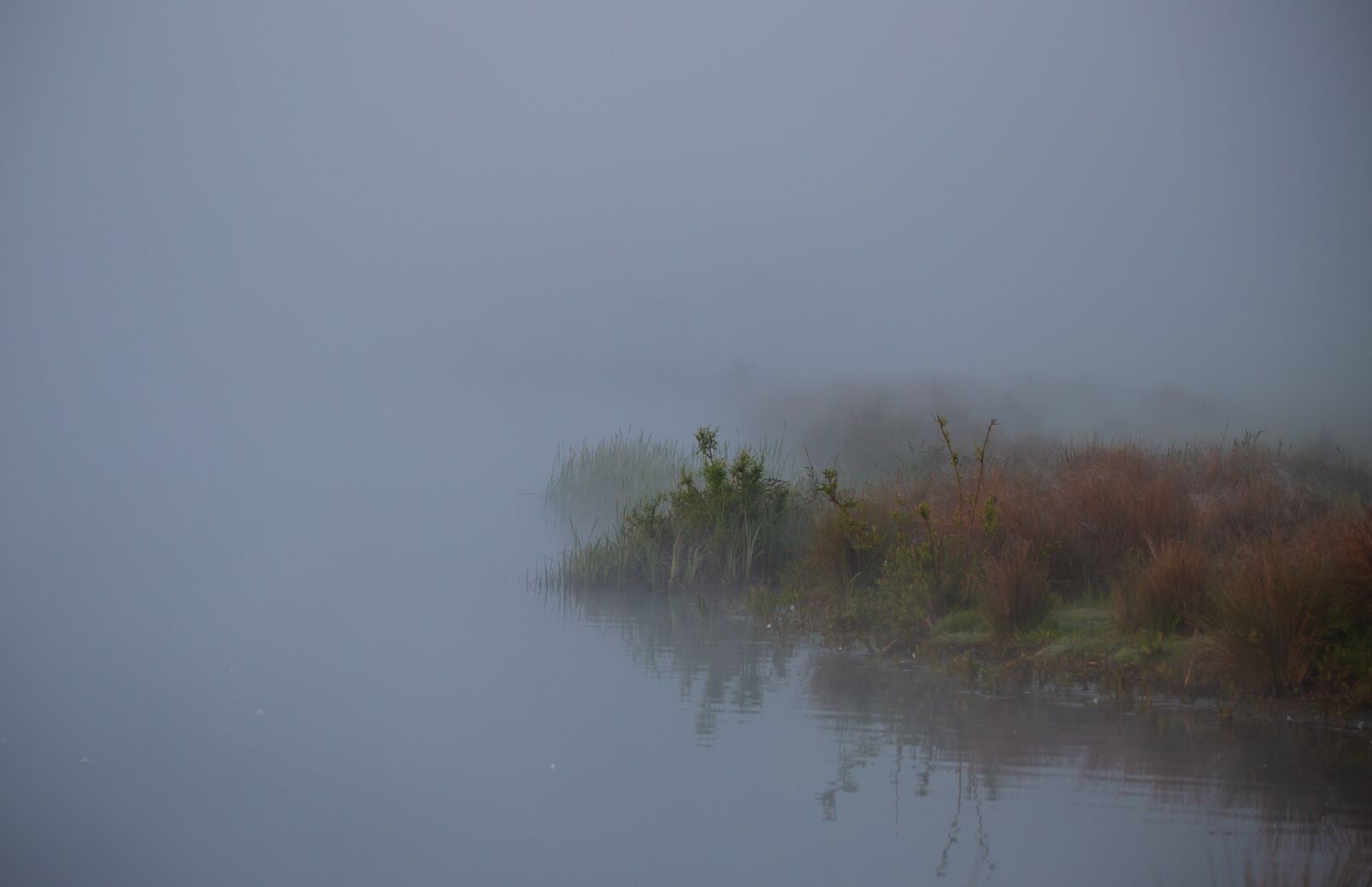 150-600mm F5-6.3 DG OS HSM | Contemporary 015 sample photo. Misty riverbank, misty, mist photography