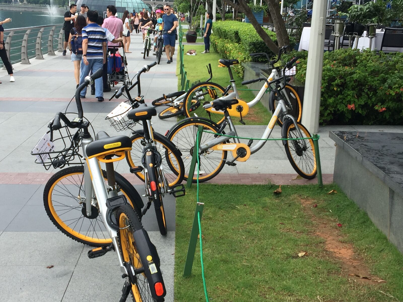 iPhone 6 Plus back camera 4.15mm f/2.2 sample photo. Singapore photography