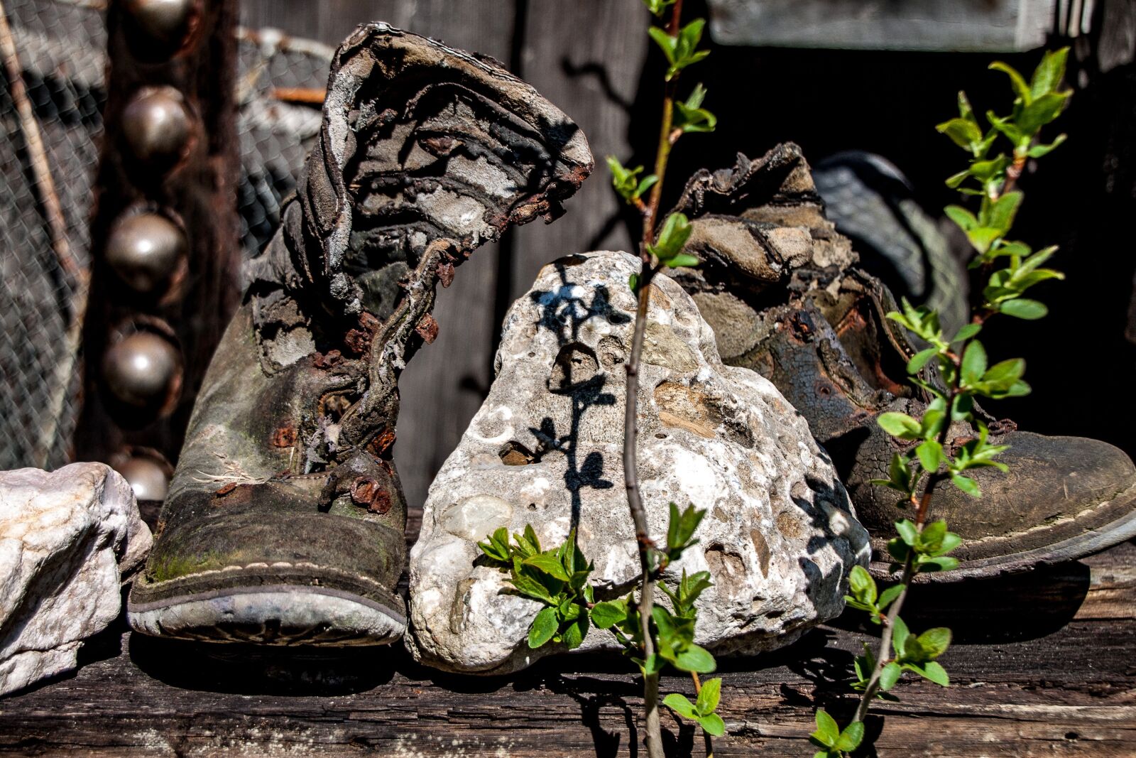 Canon EOS 500D (EOS Rebel T1i / EOS Kiss X3) sample photo. Shoes, old shoes, age photography