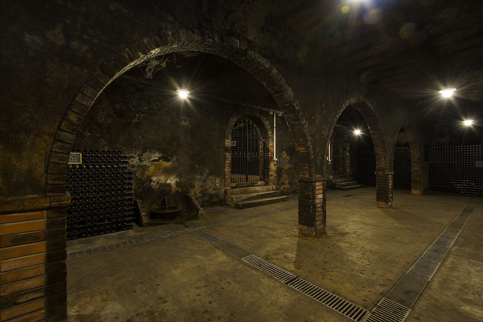 Nikon D3S sample photo. Caves, anadia, bairrada photography