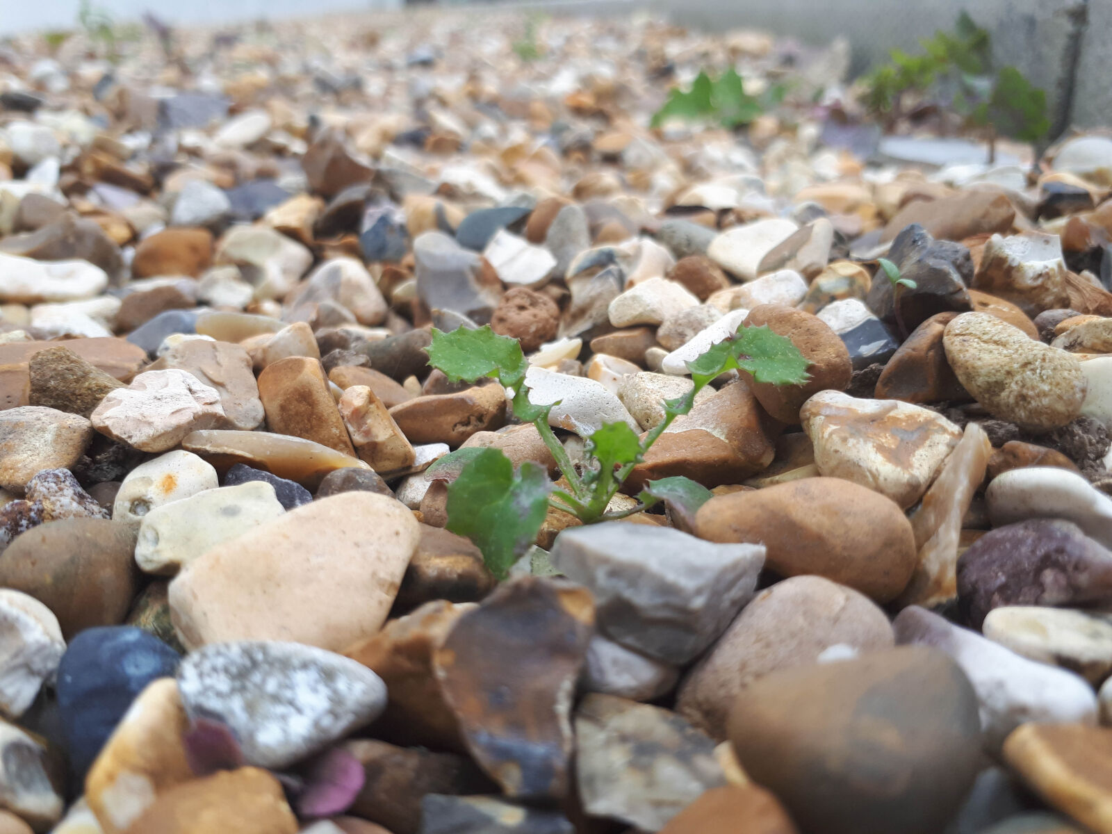 Samsung Galaxy A5(2017) sample photo. Rocks photography