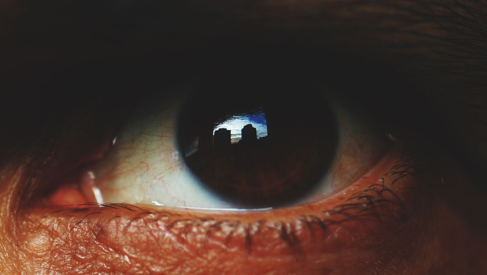 Sony SLT-A58 + Sony DT 30mm F2.8 Macro SAM sample photo. Close, up, eye, mirror photography