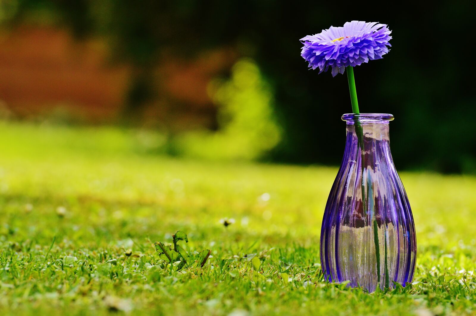 Nikon D3200 sample photo. Vase, glass, flower photography