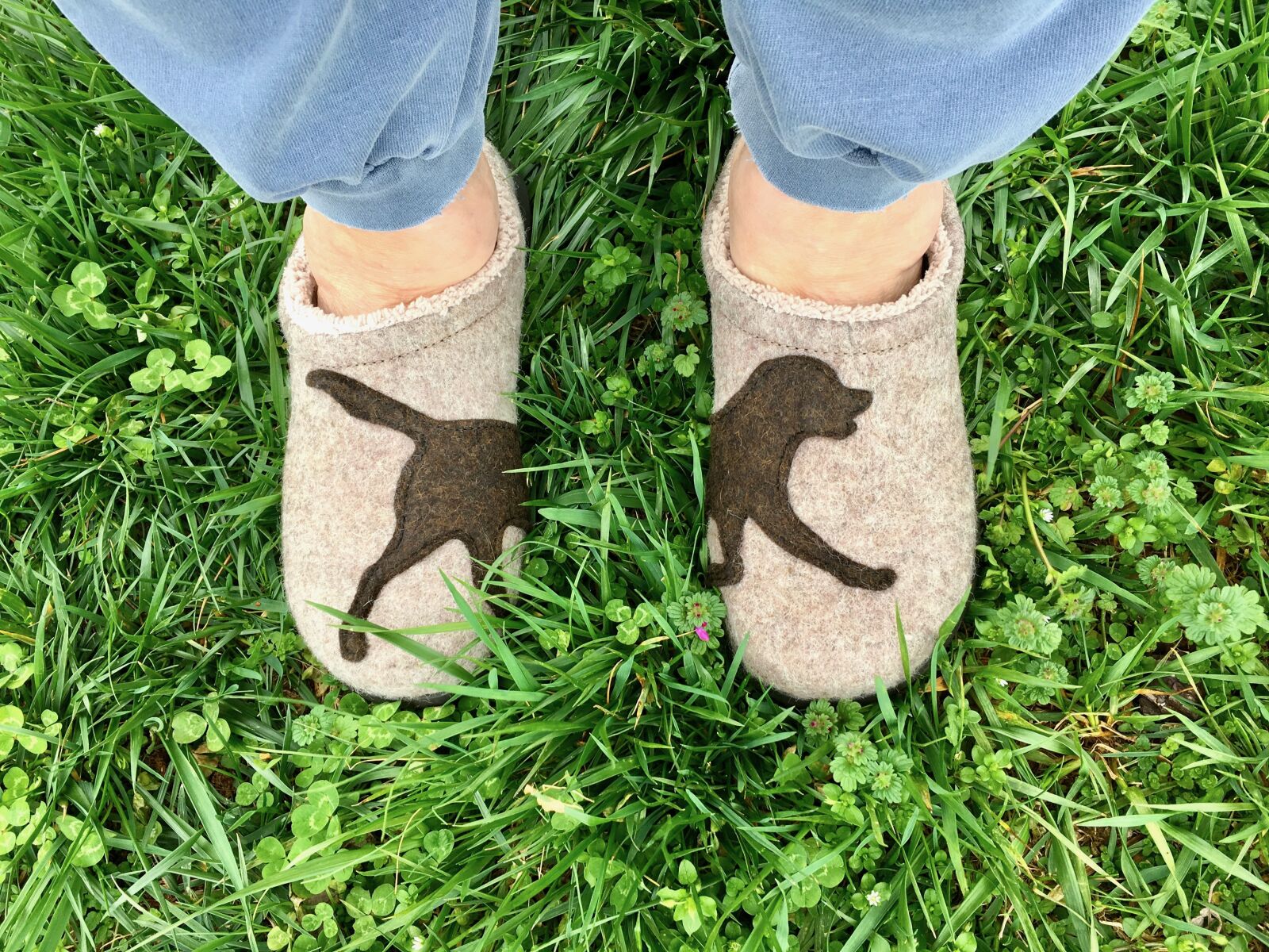 Apple iPhone 6s sample photo. Slippers, feet, dog photography