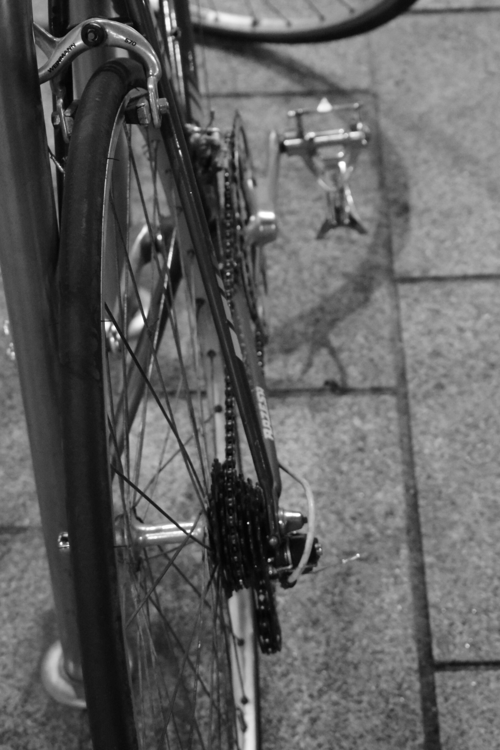 Nikon D3300 sample photo. Bicycle, string, wheel photography