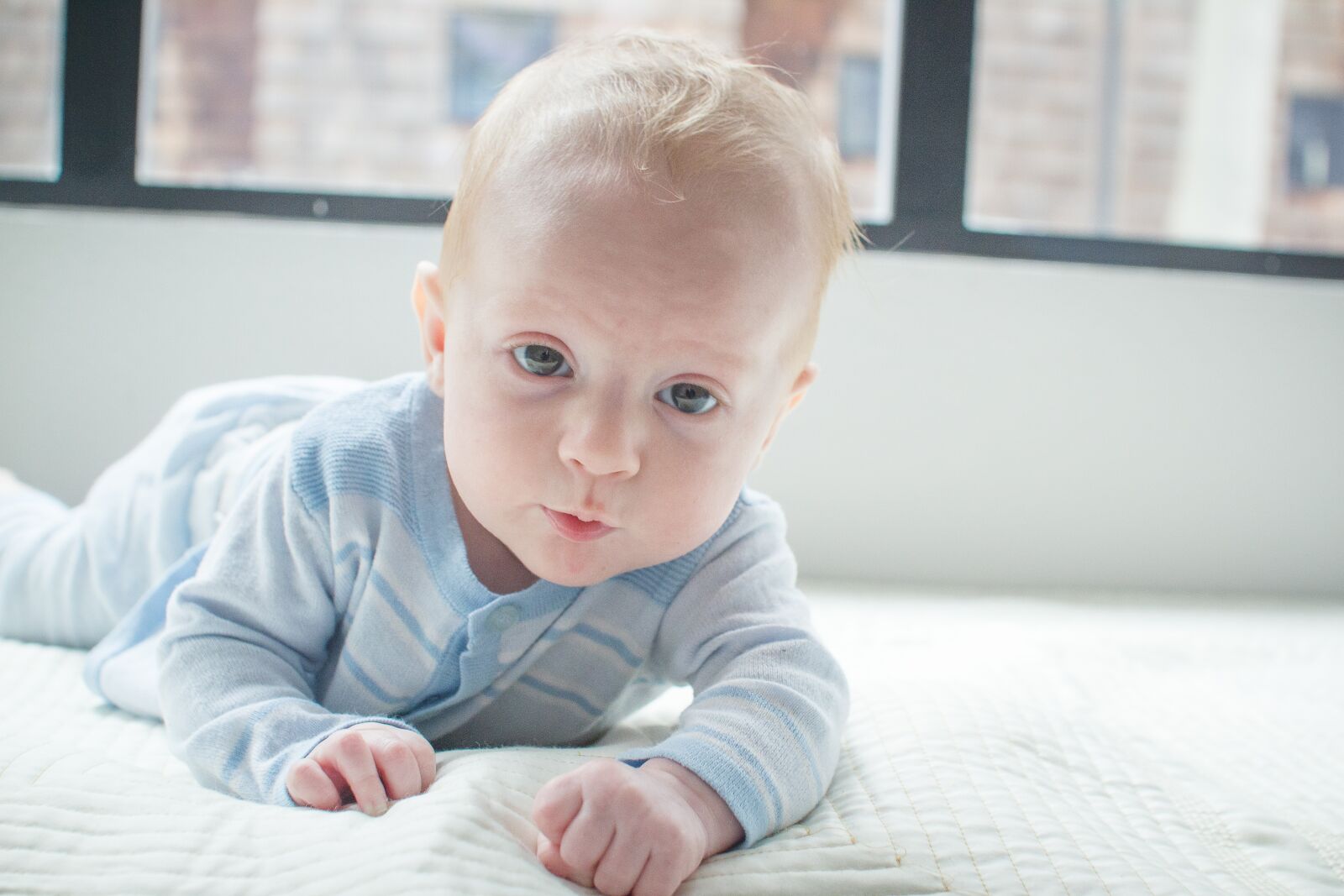 Canon EOS 550D (EOS Rebel T2i / EOS Kiss X4) sample photo. Baby, crawl, caucasian photography