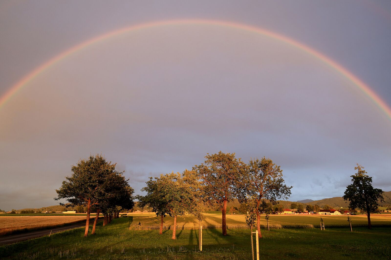 Canon EOS R sample photo. Rainbow, rain, sky photography