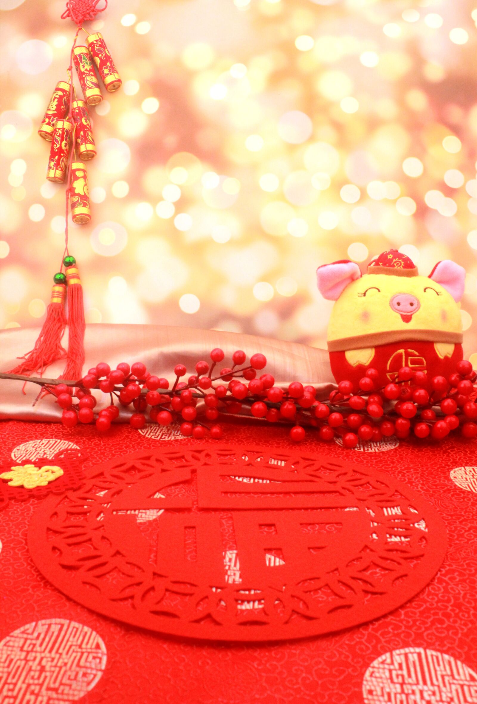 Canon EOS 550D (EOS Rebel T2i / EOS Kiss X4) sample photo. Firecracker, chinese new year photography