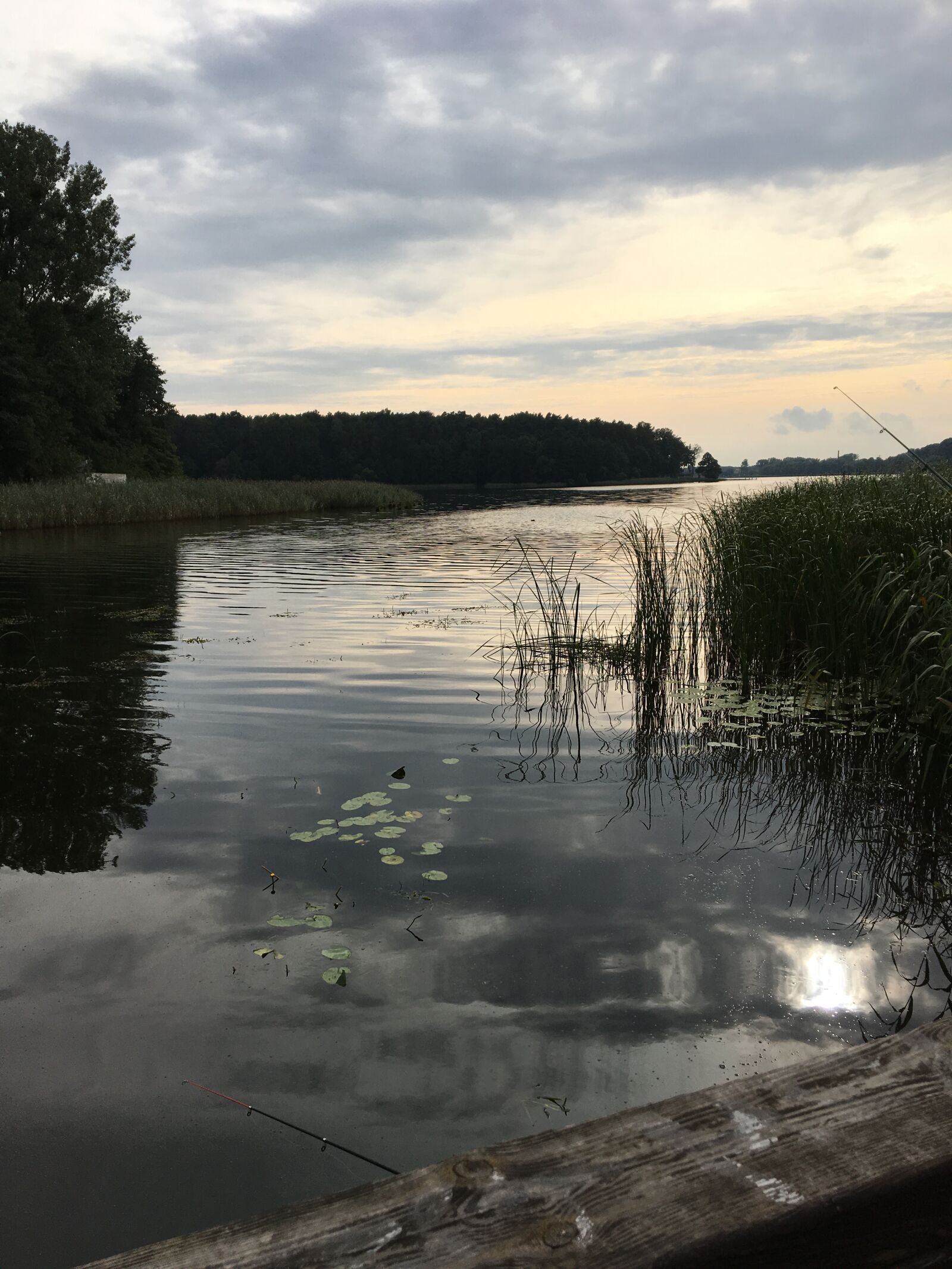 iPhone 6s back camera 4.15mm f/2.2 sample photo. Nature, lake, landscape photography