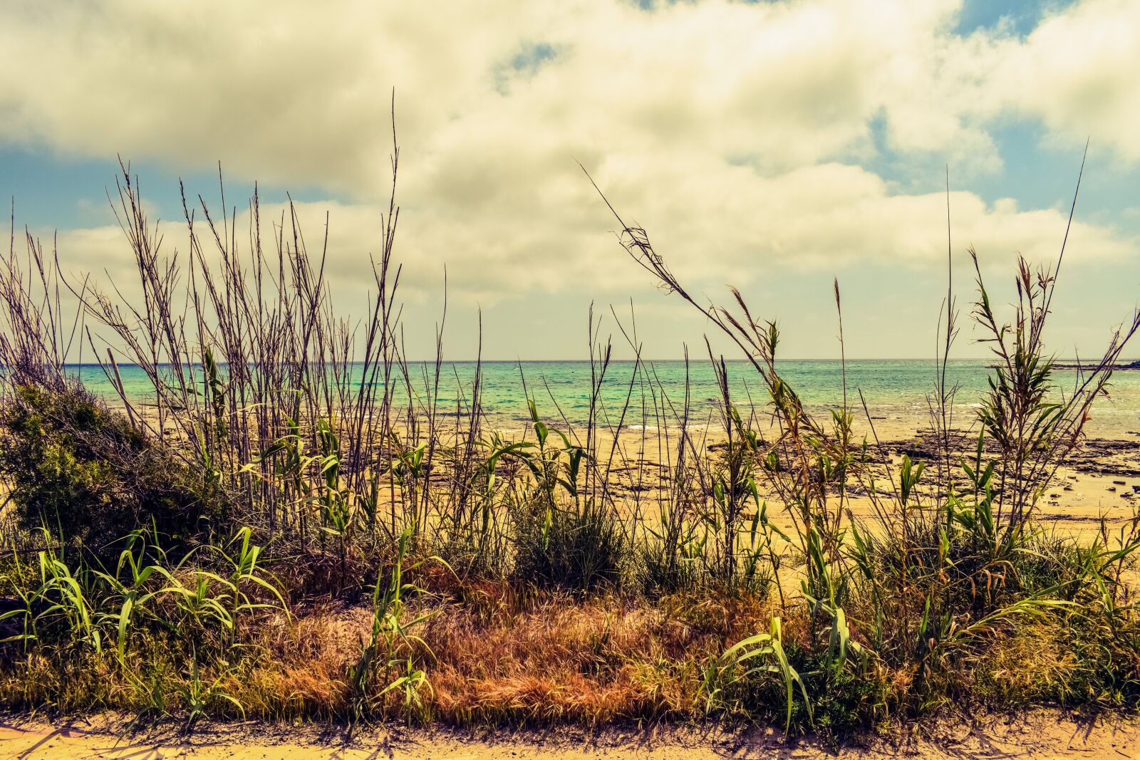 Nikon D3300 sample photo. Reeds, beach, sea photography