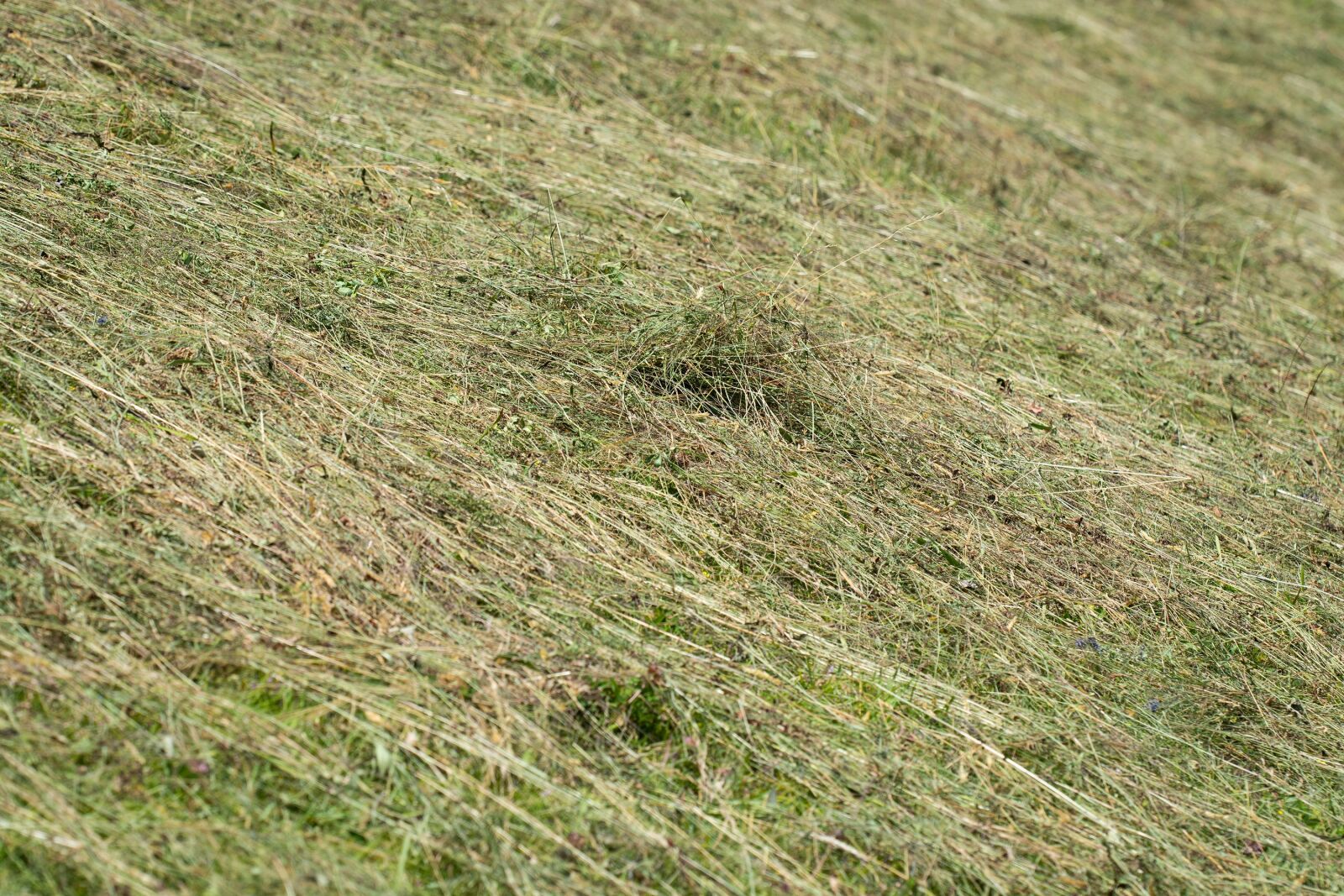 Nikon D7100 sample photo. Hay, agricultural land turns photography