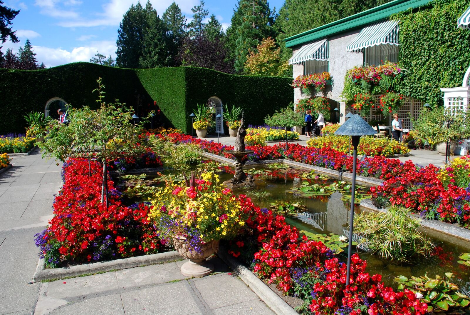 Nikon D80 sample photo. Flowers, garden, city photography