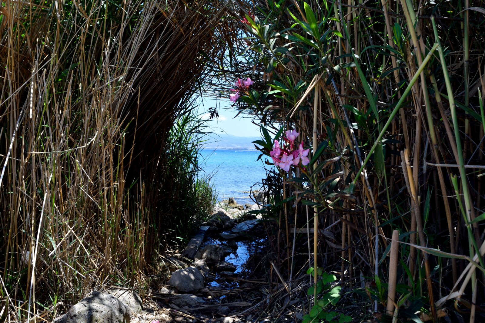 Nikon D3300 sample photo. View to the sea photography