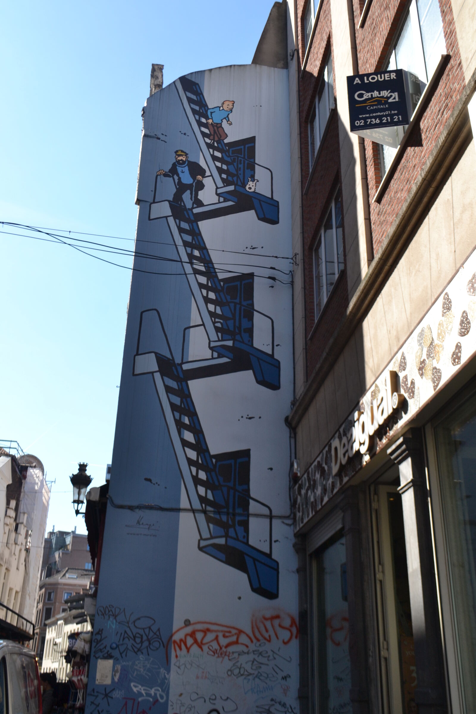 Nikon D3100 sample photo