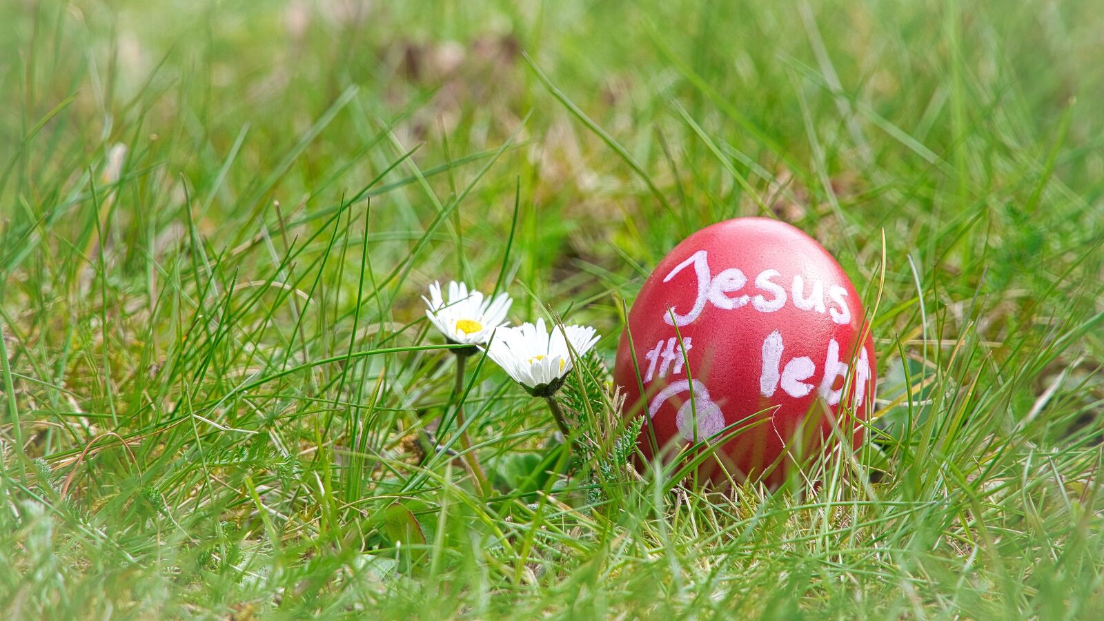 Sony a6300 sample photo. Easter, egg, jesus photography