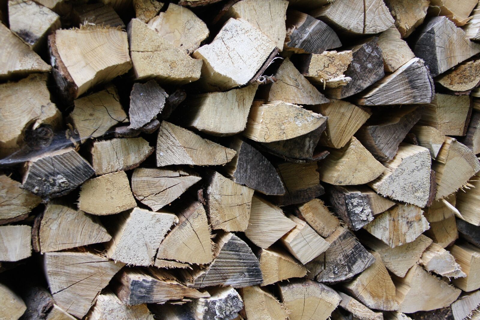 Canon EOS 40D sample photo. Wood, holzstapel, firewood photography