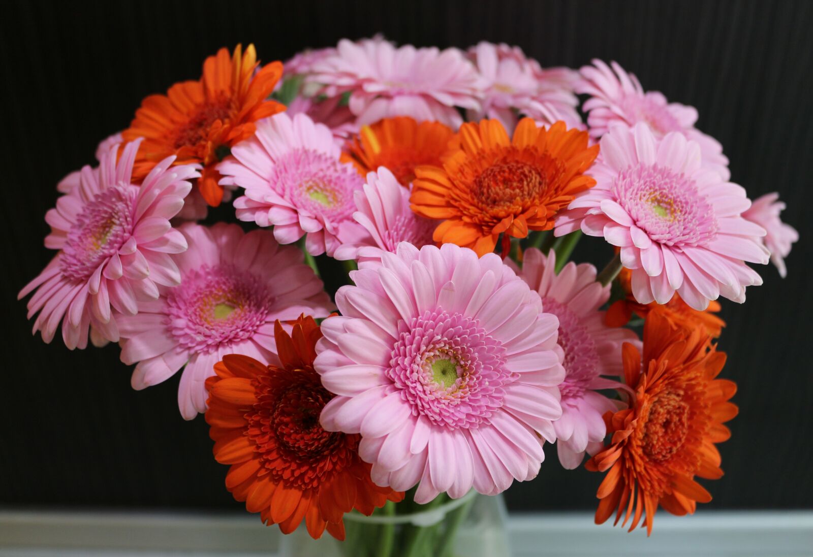 Canon EOS 700D (EOS Rebel T5i / EOS Kiss X7i) sample photo. Flower, pink, orange photography