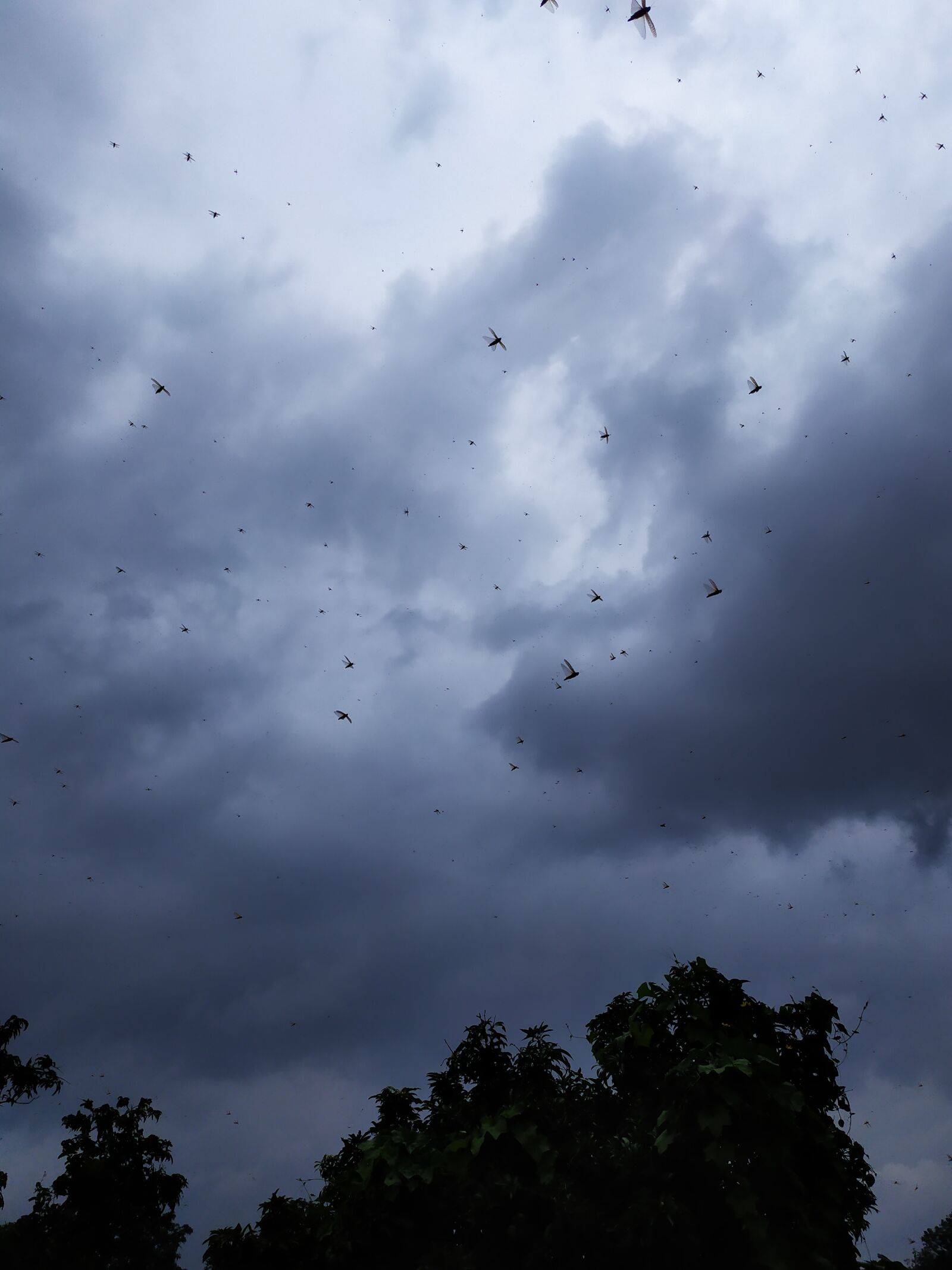 Xiaomi Redmi Note 7 sample photo. Sky, blue, dark photography